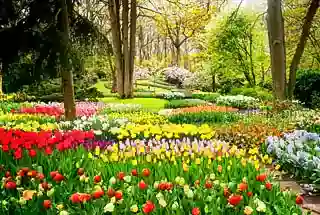 Floral Garden